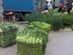 中味膳食专属咨询热线：135-5971-5658​