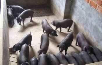 中味膳食专属咨询热线：135-5971-5658​