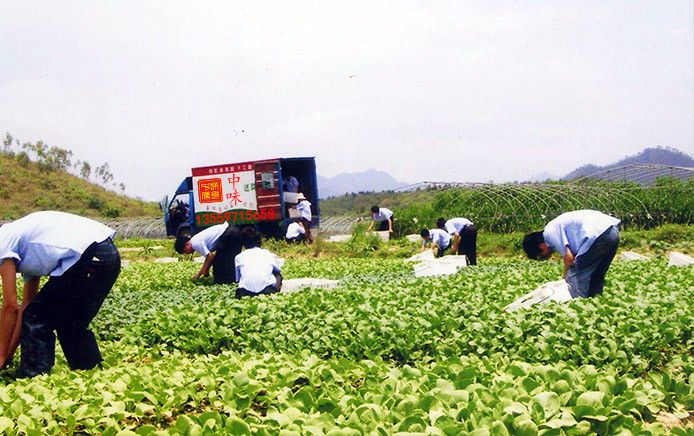 中味膳食​专属咨询客服热线：135-5971-5658 ，可发报价表咨询