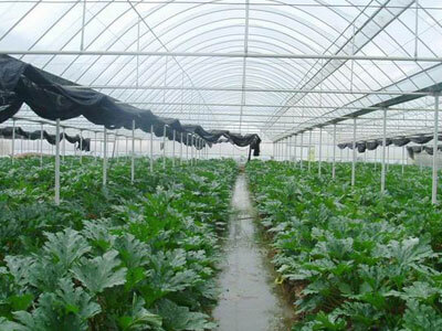 中味膳食服务热线：135 5971 5658