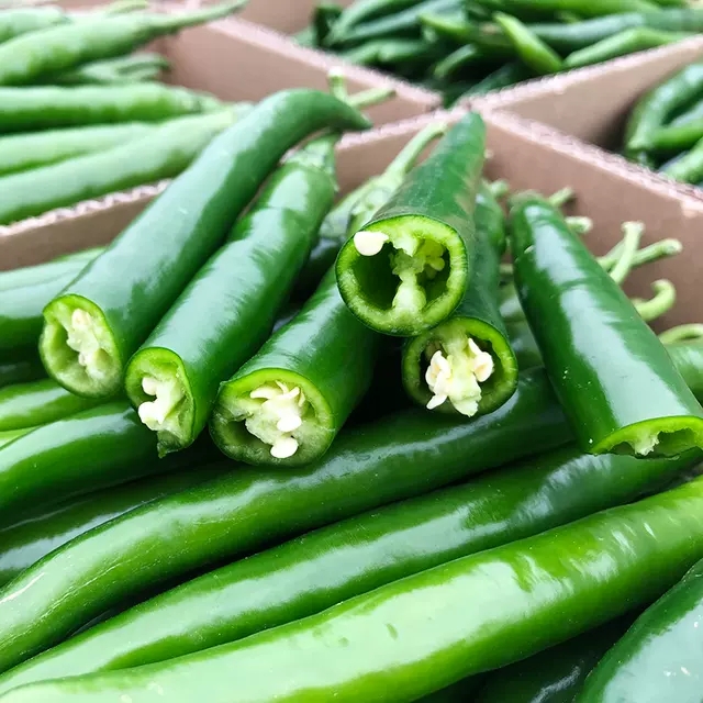 客服热线:135 5971 5658