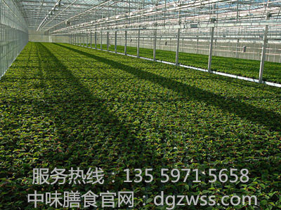 客服热线:135 5971 5658