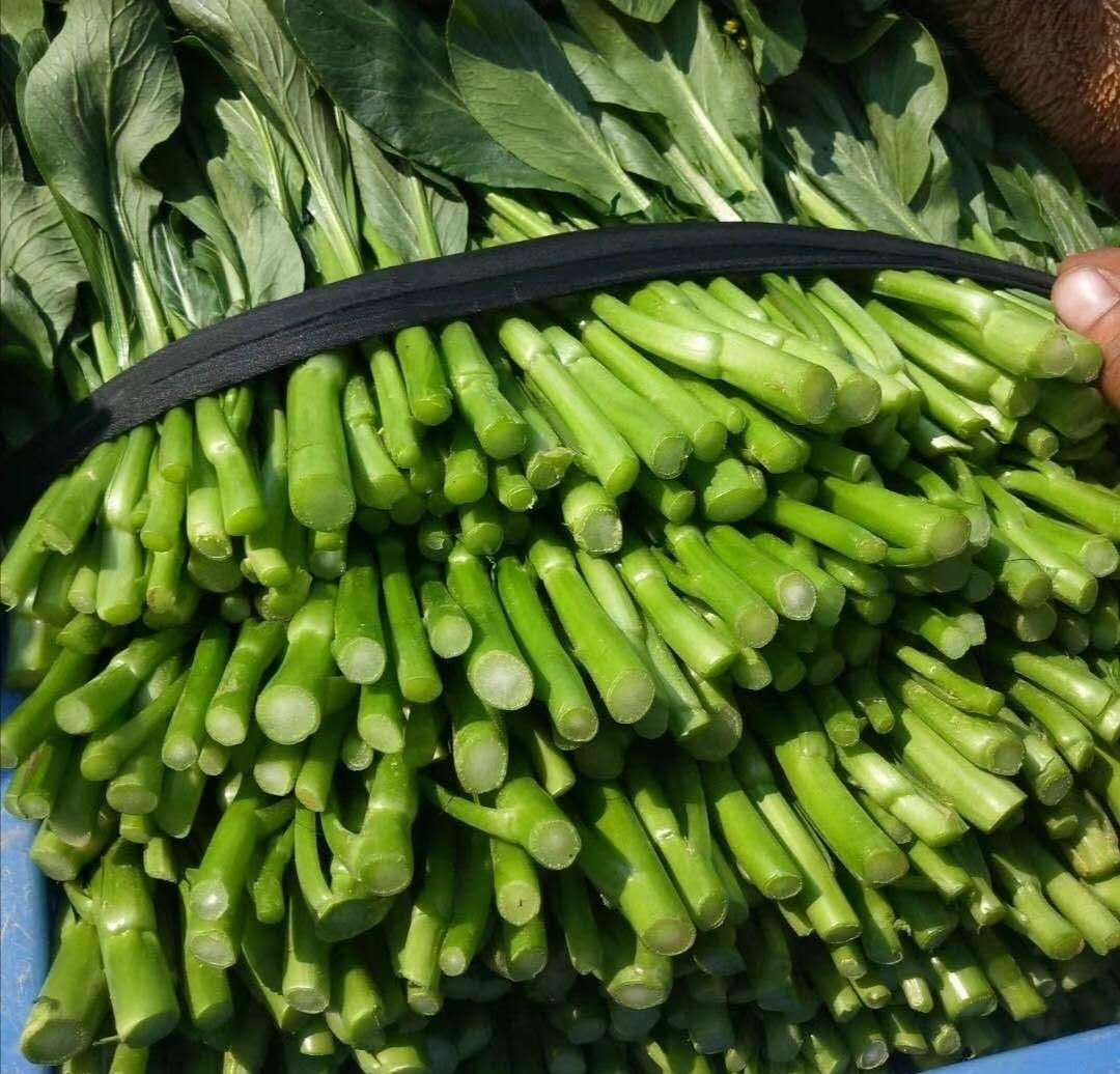 客服热线:135 5971 5658