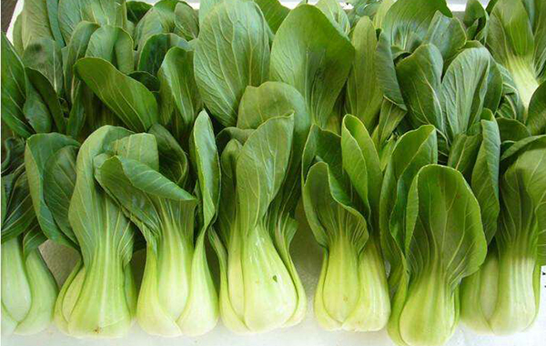 ​<中味膳食>，咨询热线：135 5971 5658