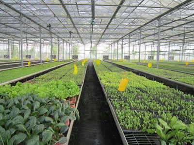 中味膳食(咨询热线:135-5971-5658 加微信获取报价表)