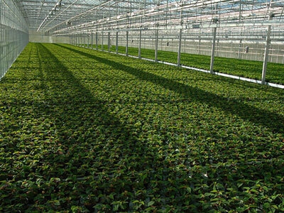 中味膳食(咨询热线:135-5971-5658 加微信获取报价表)