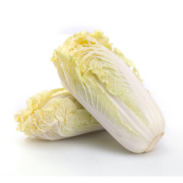 广东推荐蔬菜配送公司