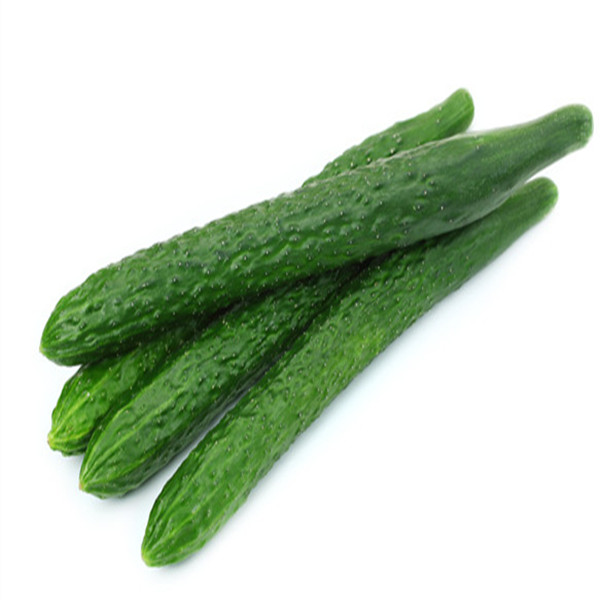 园洲绿色蔬菜配送