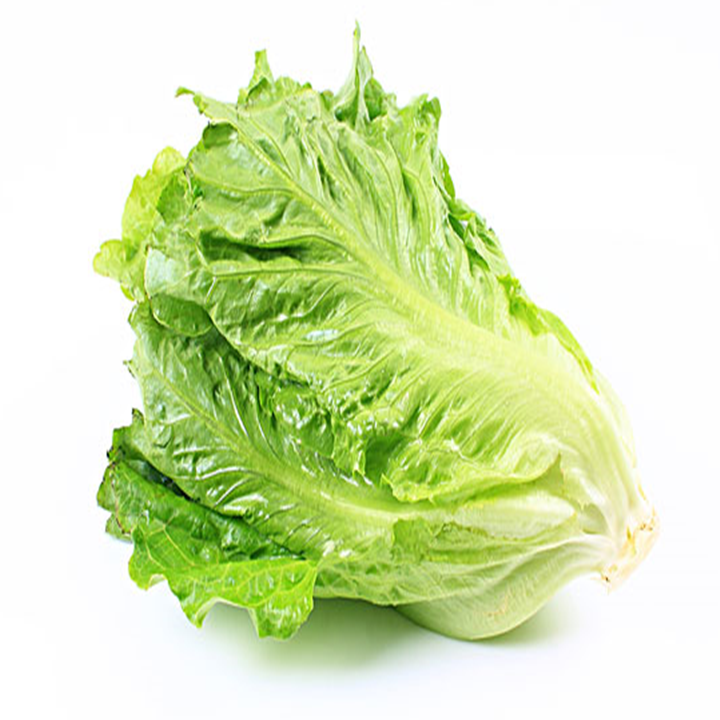 惠州工厂学校蔬菜配送