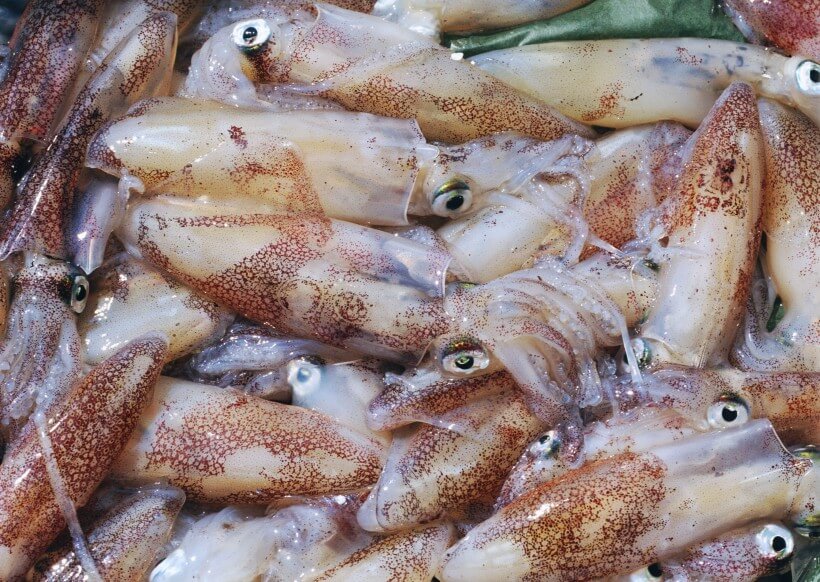 东莞公司食堂冻品海鲜...