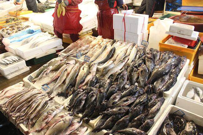 博罗公司食堂食材批发...